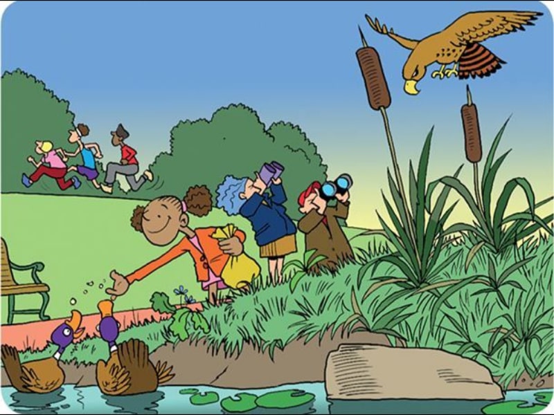 CELPIP Speaking Task 3 - Practice English Fast